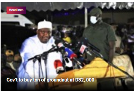 Gov’t to buy ton of groundnut at D32, 000